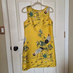 M.S.S.P Women's Dress